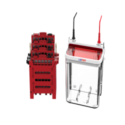 Mini Vertical Blot TRMB-601