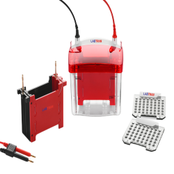 Mini Vertical Blot TRMB-602